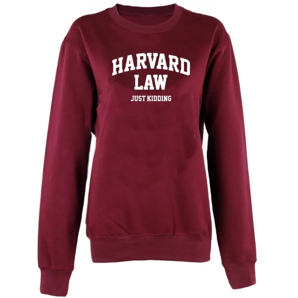 Harvard University sweatshirt - “Harvard Law - just kidding” - preppy academia